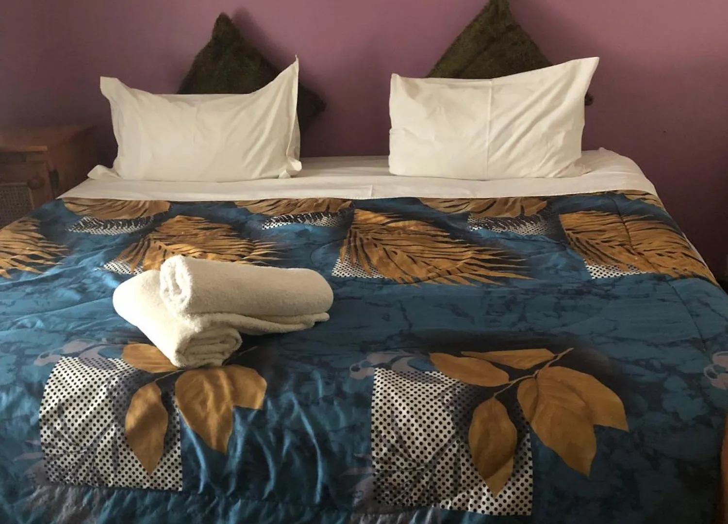 Gh Redpillars Hotel Port Elizabeth 0*,